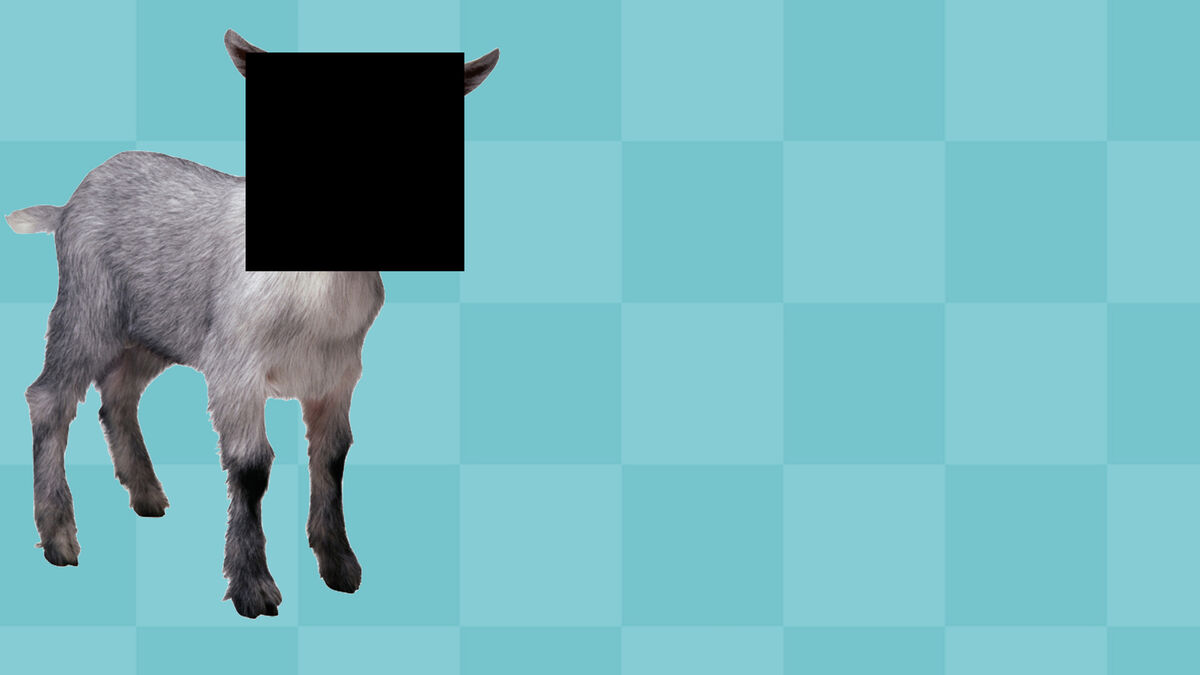 The GOATest image number null